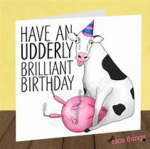 Image result for Funny Cow Birthday Cards