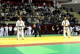 Image result for Kyokushinkai Karate