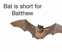 Image result for Bat Bashing Meme
