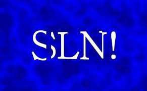 Image result for YouTube Logo SLN