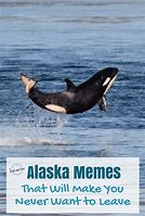 Image result for Alaska Is an Island Meme