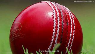 Image result for Indian Cricket Dies