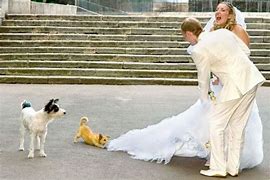 Image result for Funny Brides