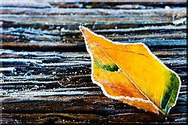Image result for Contrast and Texture Photography