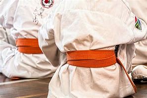 Image result for Ninjutsu Dojo