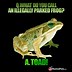 Image result for Frog Jokes Not Funny