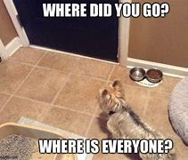 Image result for Where Did You Go Meme
