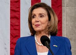 Image result for Nancy Pelosi Dresses