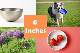 Image result for Six Inches Things