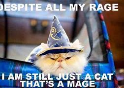 Image result for Dnd Cat Wizard Potion Meme