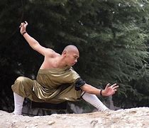 Image result for Traditional Styles of Kung Fu