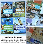Image result for 9781742522333 Animal Planet Book