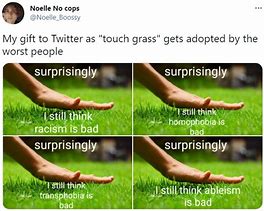 Image result for Meme Local Man Seen Touching Grass