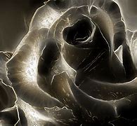 Image result for Black Gothic Rose Wallpaper
