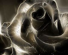 Image result for Gothic Roses Images