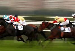 Image result for Race Horse Running