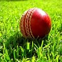 Image result for Cricket Label