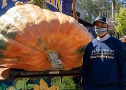 Image result for Heaviest Pumpkin