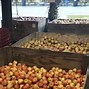 Image result for Best Apple Donuts in Apple Hill