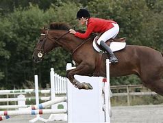 Image result for Equestrian Wallpaper