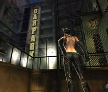 Image result for Catwoman Game