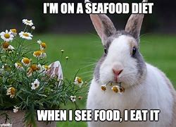 Image result for Bunny Rabbit Memes