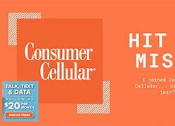 Image result for Danay Consumer Cellular