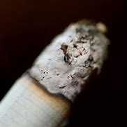 Image result for Cigarette Ashes