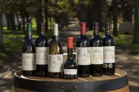 Image result for Groot Constantia Rood Estate