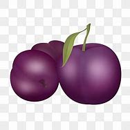 Image result for Purple Plum Clip Art