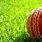 Image result for Cricket Ball Withour Background