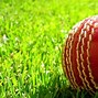 Image result for Green Cricket Ball