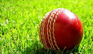 Image result for Cricket Ball Background