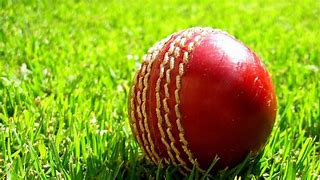 Image result for Cricket Ball Images Download