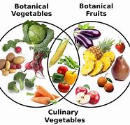 Image result for What Is the Difference Between Fruits and Veg