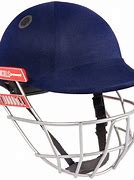 Image result for Gray Nicolls Cricket Helmets