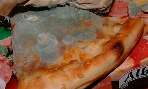 Image result for Disgustinf Pizza