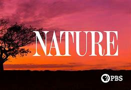 Image result for Apple TV Nature Pictures