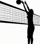 Image result for Volleyball