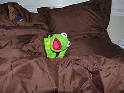 Image result for Kermit Sleeping