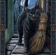 Image result for Magical Black Cat