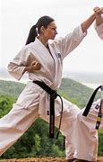 Image result for Lady 2 Fight Karate