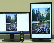 Image result for Camera LCD Screen Portrait