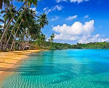 Image result for Puerto Rico Beach Scene