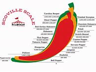 Image result for Spicy Chocolate Bar Scoville Units