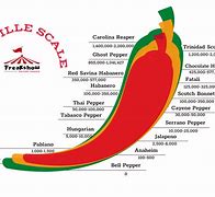 Image result for How Many Scoville Units Is Purple Takkis