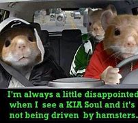 Image result for Kia Soul Hamster Meme