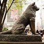 Image result for Hachiko Grave