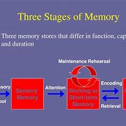 Image result for Working Memory Psychology