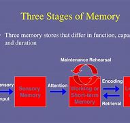 Image result for Human Memory Psychology